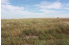 Property photo 58 - LAND AUCTION, 3255+/- Acres offered in 13 Tracts